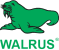 Walrus Indonesia